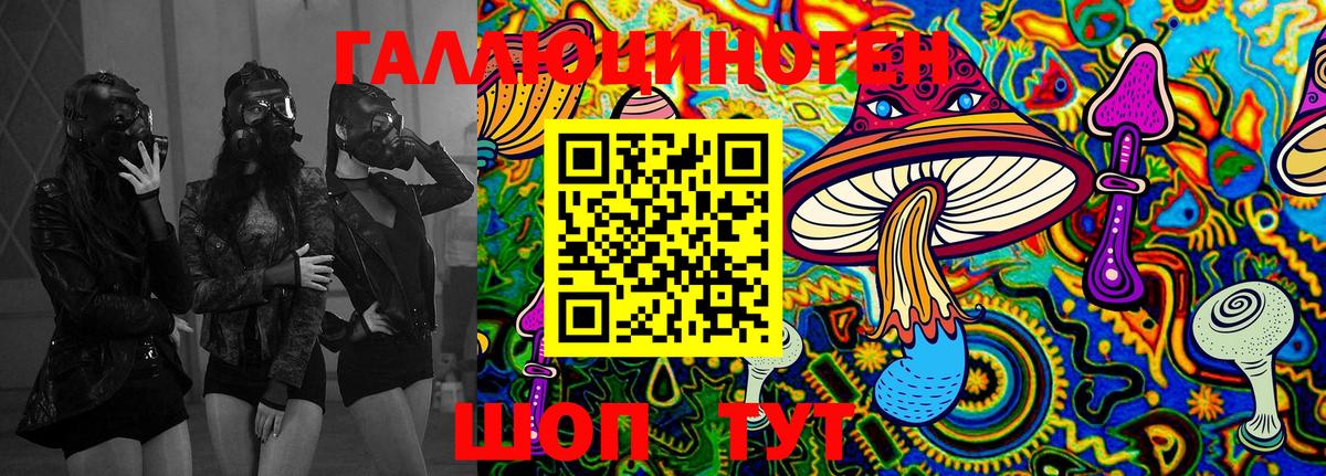Псилоцибиновые грибы Psilocybine cubensis  Вход с VPN  Псилоцибиновые грибы Psilocybine cubensis  Арсеньев 